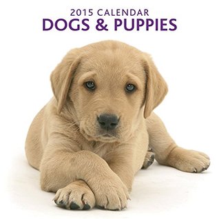 Download 2015 Calendar: Dogs & Puppies: 12-Month Calendar Featuring Wonderful Photography And Space In Write In Key Events -  file in PDF