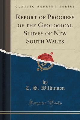 Read Online Report of Progress of the Geological Survey of New South Wales (Classic Reprint) - C S Wilkinson file in ePub