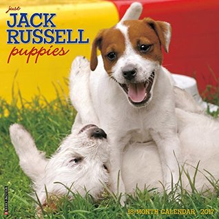 Read Online Just Jack Russell Puppies 2017 Wall Calendar (Dog Breed Calendars) -  file in ePub
