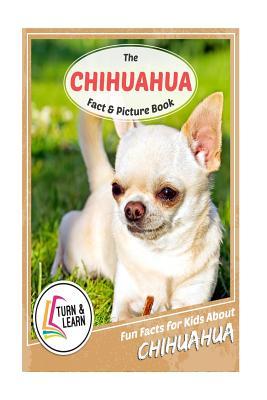 Full Download The Chihuahua Fact and Picture Book: Fun Facts for Kids about Chihuahua - Gina McIntyre file in ePub